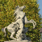 wpbfa2852e.jpg